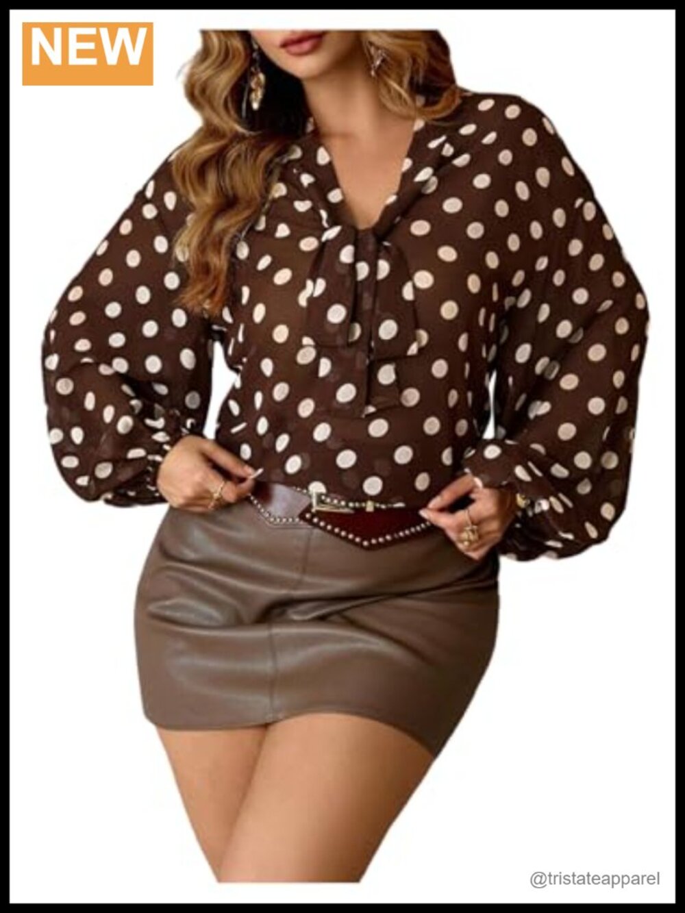 Plus Size Polka Dot Chiffon Blouse with Tie Front V-Neck Long Sleeve